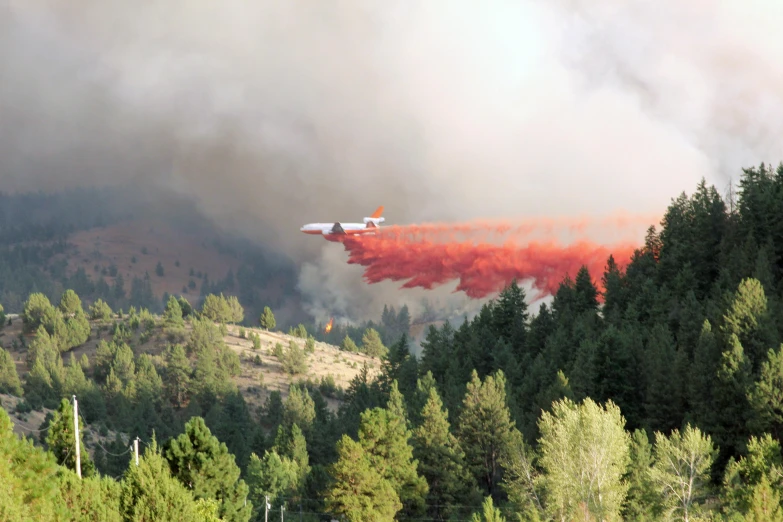 fire airplane dropping water onto the sky from flames