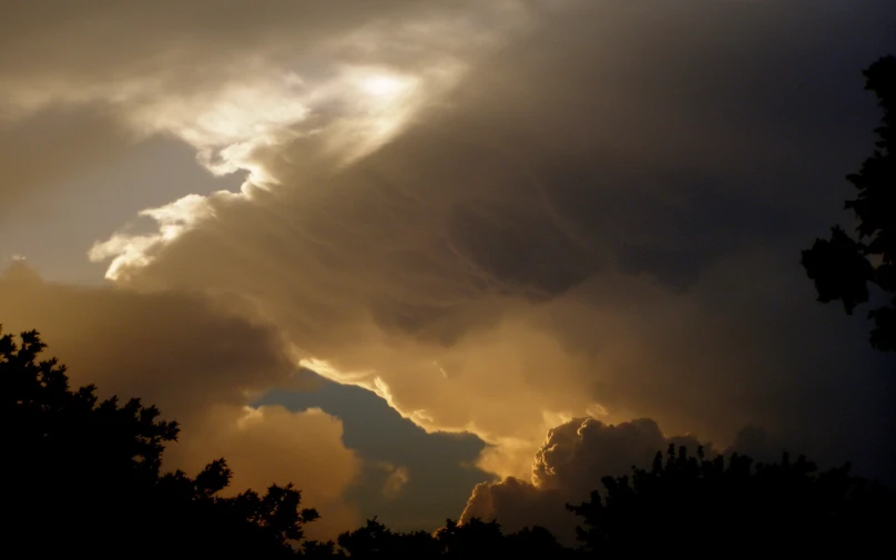 there is a bird flying through the clouds