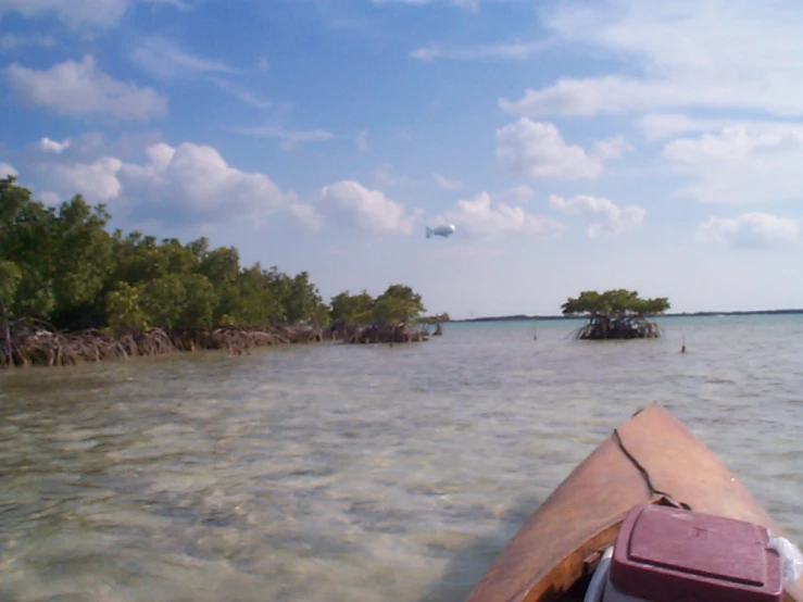 a kayak with some people near water and trees