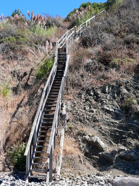 stairs with railings lead down to the top of a hill