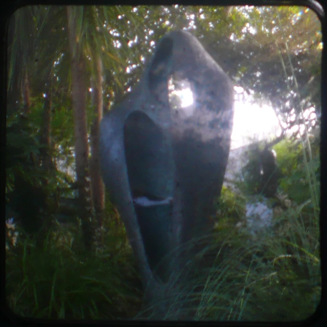 an elephant is standing in the woods next to trees