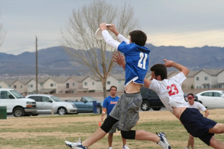 several people are in the grass playing frisbee