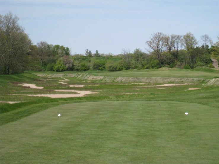 three white golf balls laying on the grass