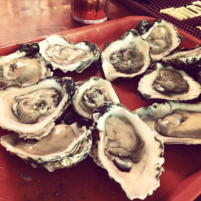 a red plate topped with oysters on a counter