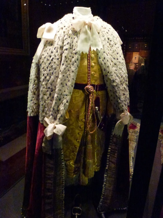 an elaborate outfit is on display in the case