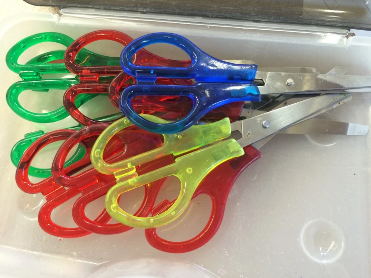 scissors and  shears arranged in a container