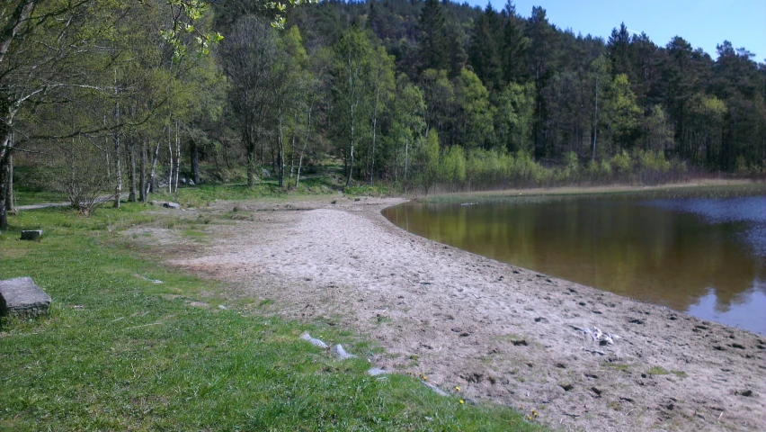 the small body of water is in a forested area