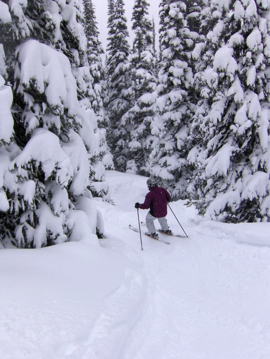 a person on skis going down a trail in the snow