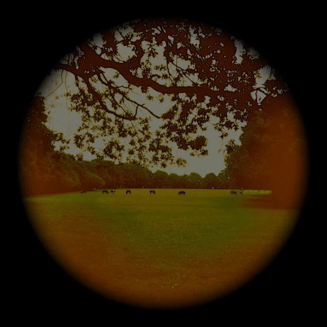 a circular picture of a tree and cows in the grass