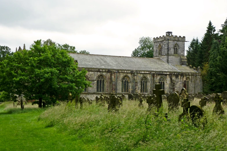 the overgrown ruins of a church and cemetery are seen