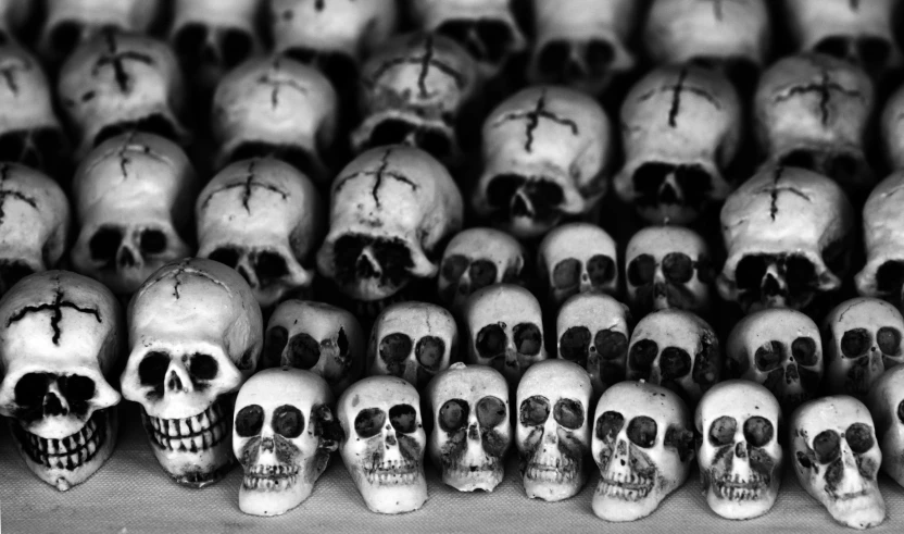 a bunch of skull heads in black and white
