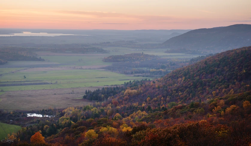 a view of the countryside with a few trees on one side