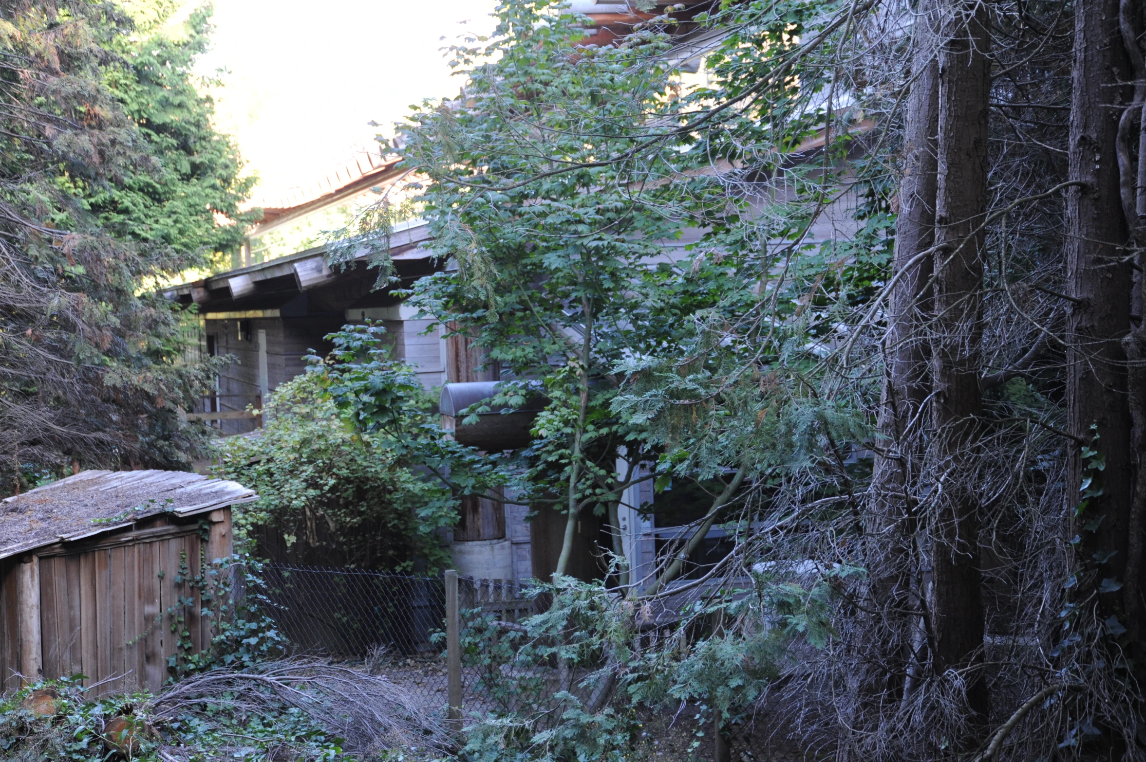 a building with a tall wooden front sitting in the woods