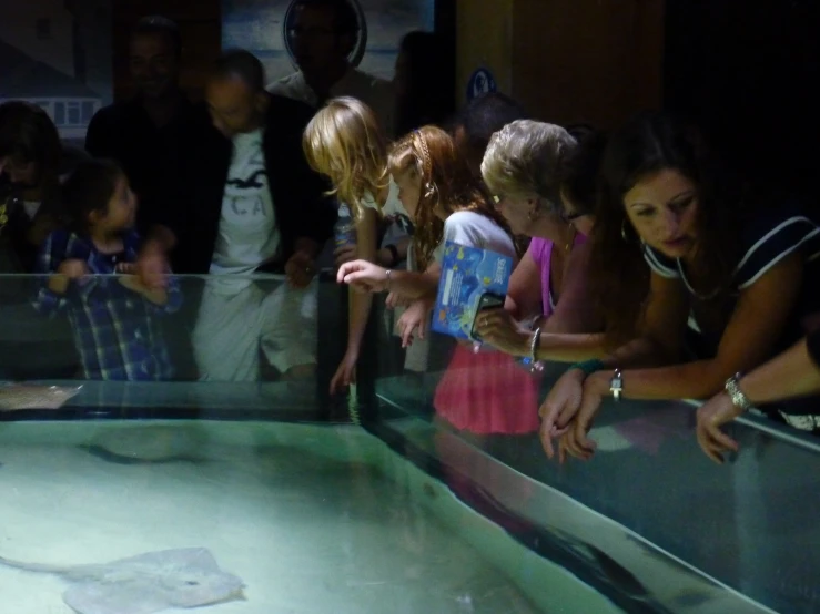 group of children in an aquarium watching stingpirs