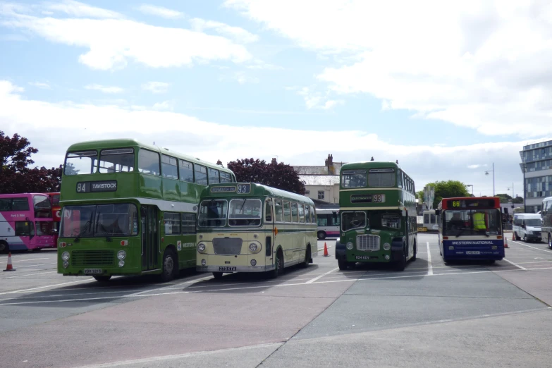 buses are parked in a lot and all have green and brown spots