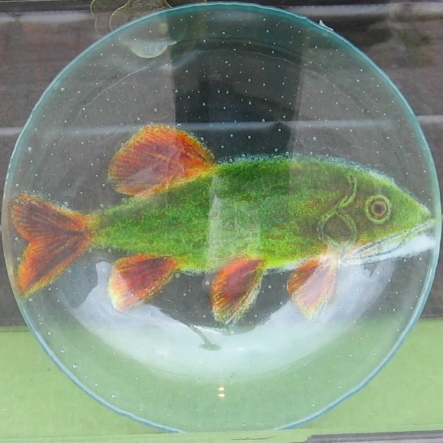 there is a fish in a round glass bowl