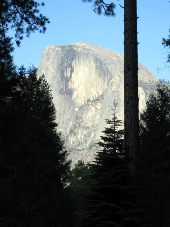 trees in the foreground with a cliff in the distance