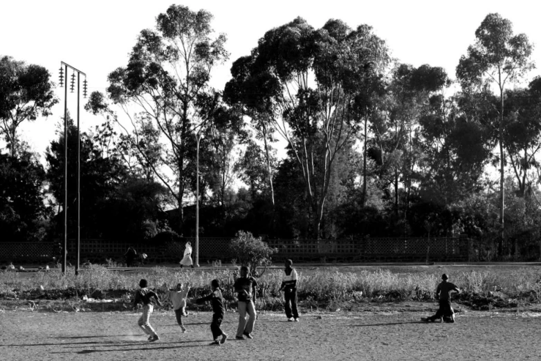 some men are playing baseball outside near the trees