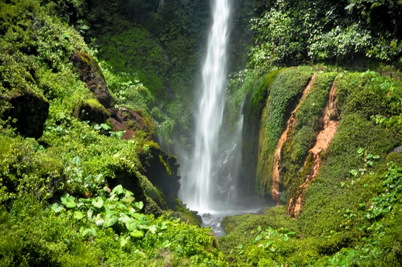 a water fall sitting above a lush green forest