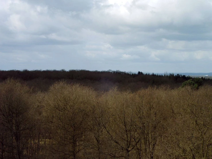 the top of a hillside on which there are trees and a plane flying high in the sky