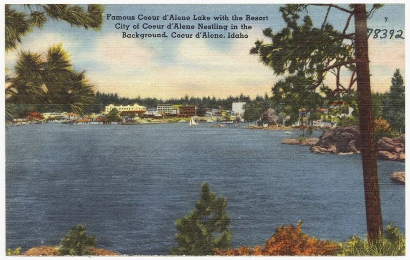 a postcard from the fortuna cove, maine showing the marina and lighthouse