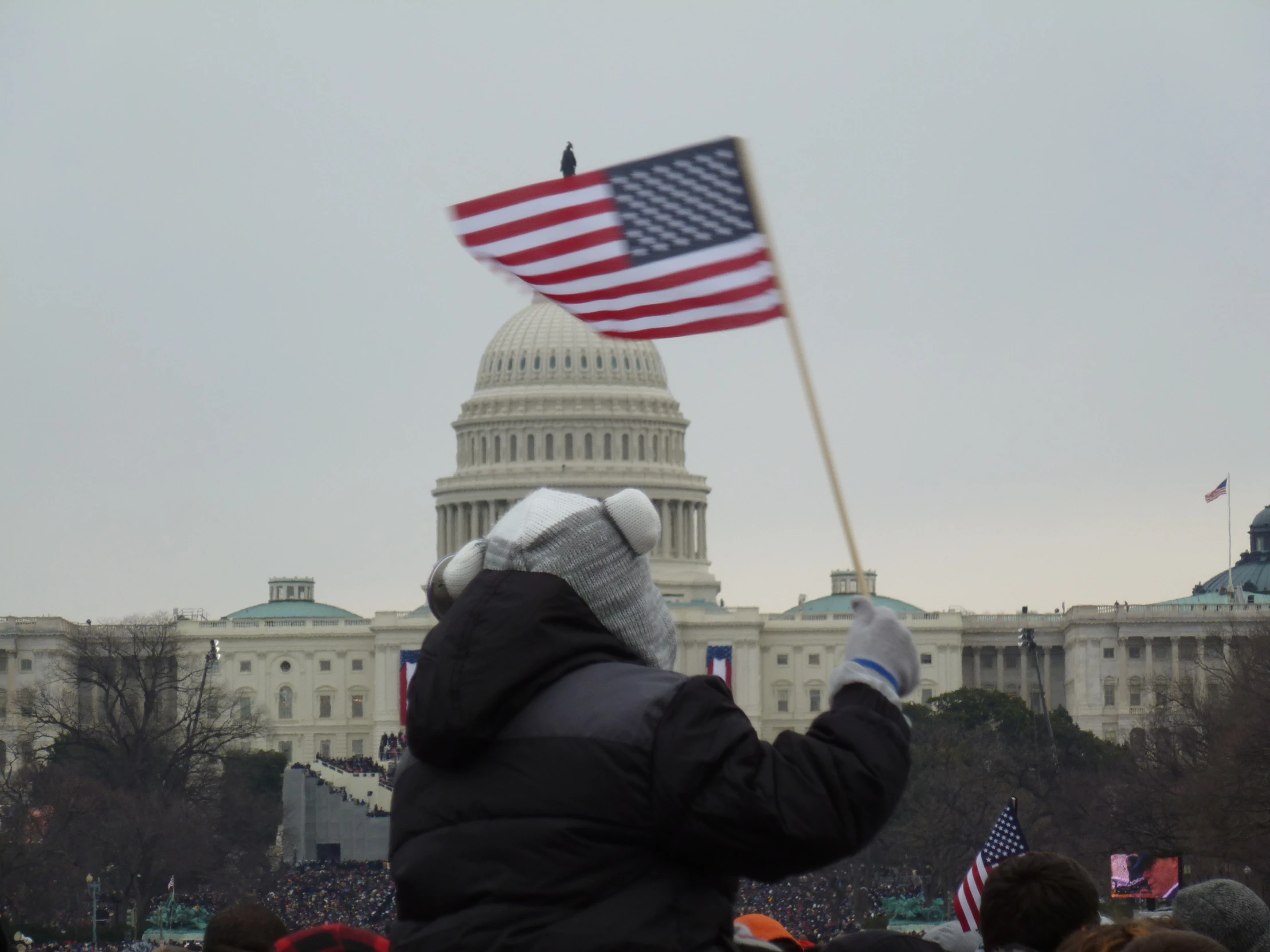 a man holding an american flag at the capitol