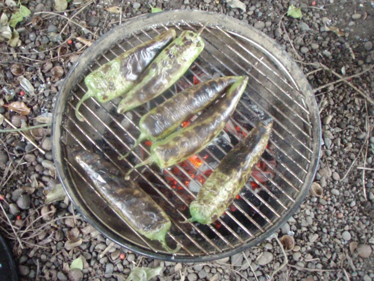 grilling peppers on the fire grates outside