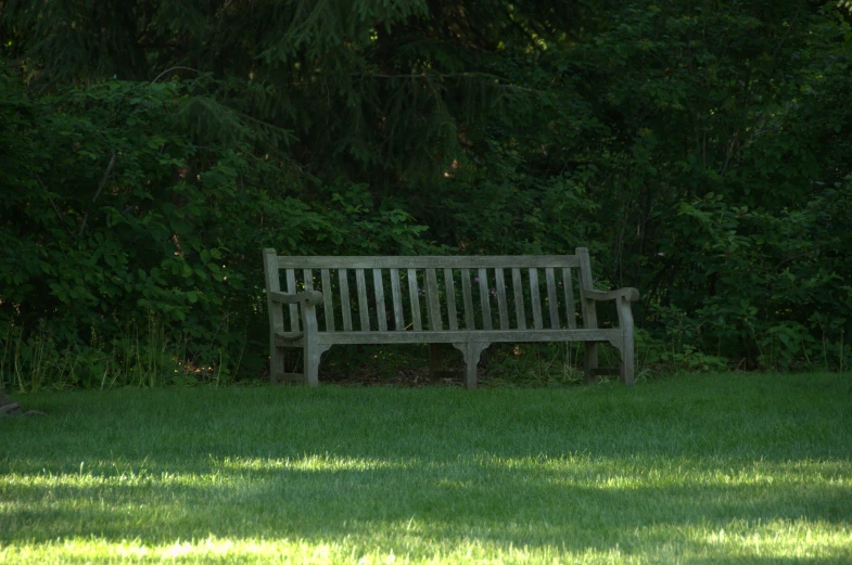 an empty wooden bench in a park with green grass