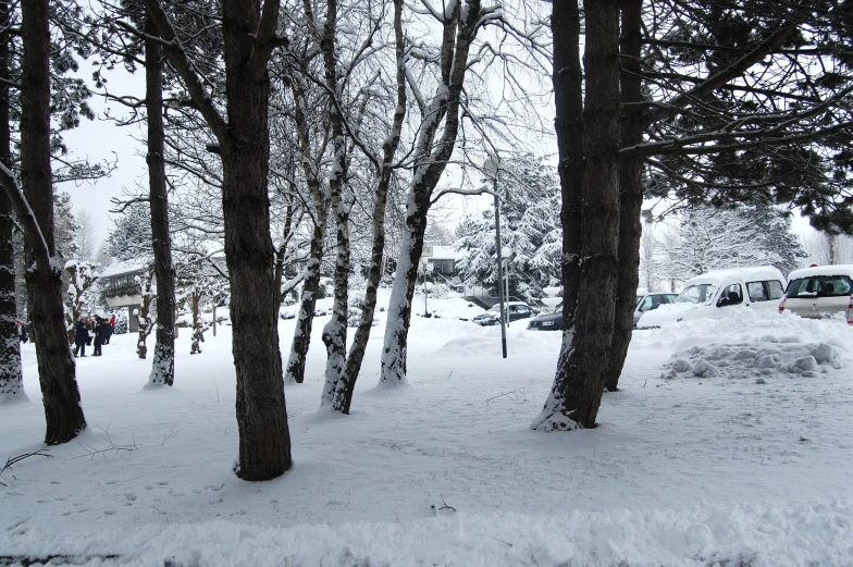 the snow covered ground outside in winter time