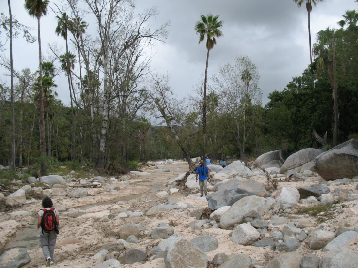 a couple of people walking on a path between rocks and trees