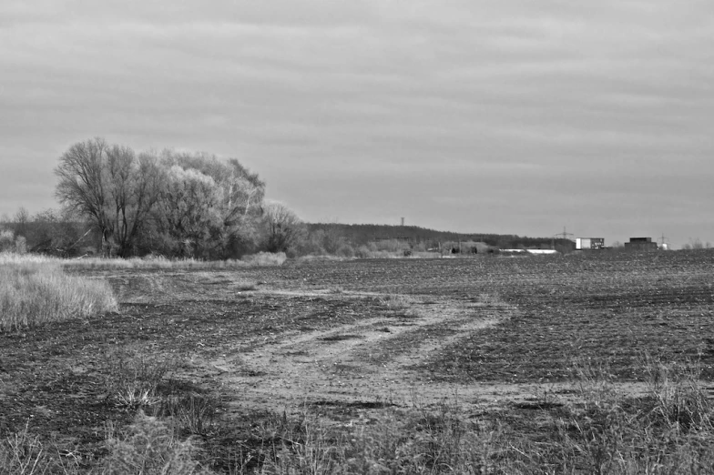 a large field with grass and trees in the distance