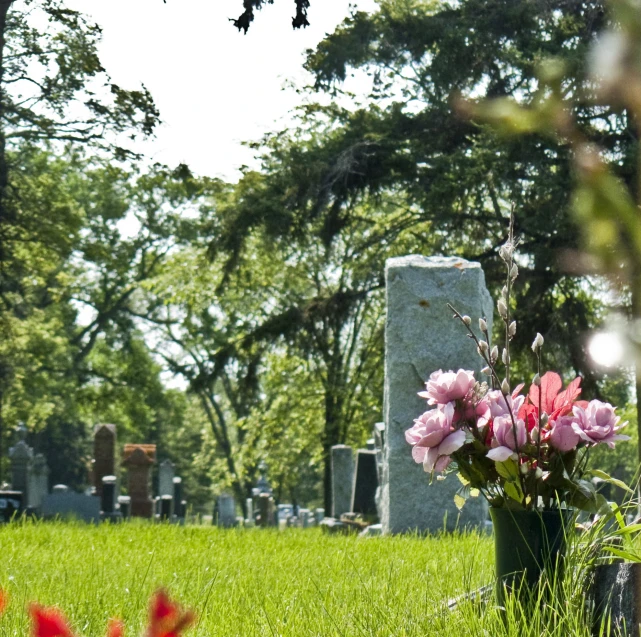 flower vase in the middle of a graveyard