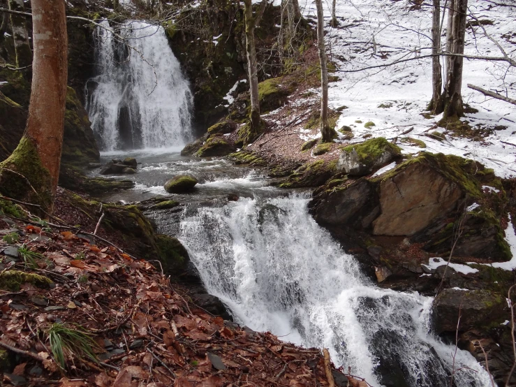 a large waterfall surrounded by tall trees