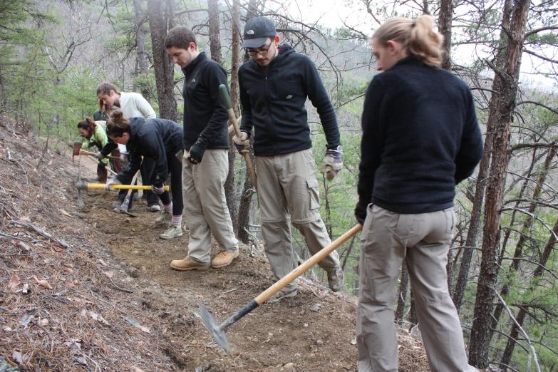 people work in the woods with shovels and poles