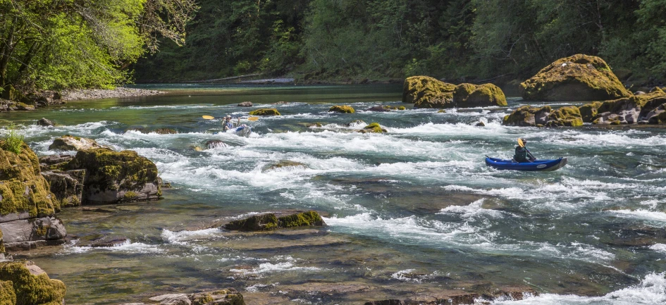 a person is rafting in the water near trees