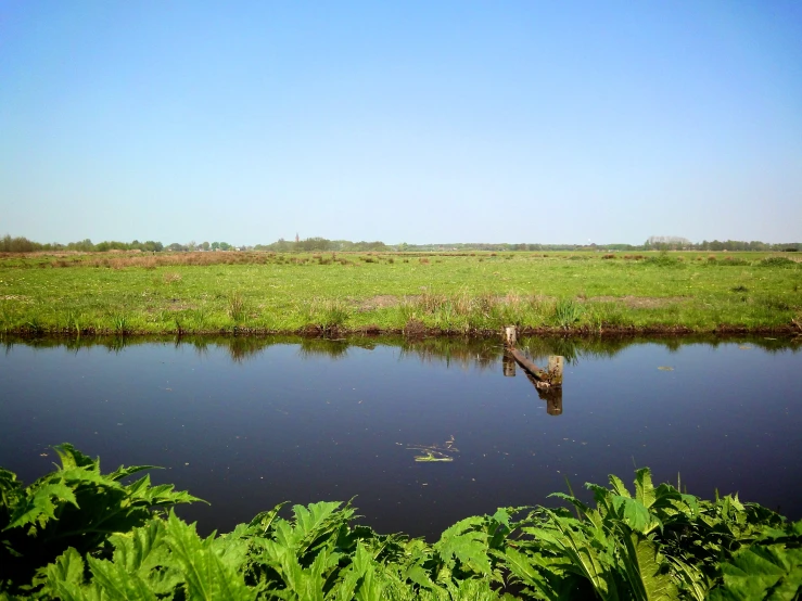 a body of water sitting next to a lush green field