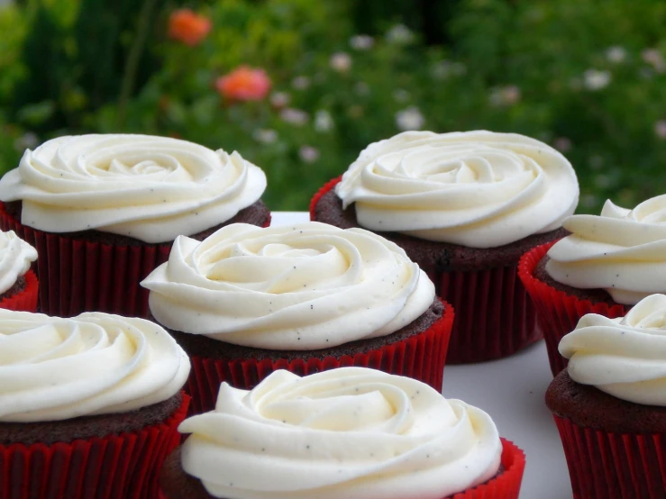 a plate with some cupcakes topped with white frosting