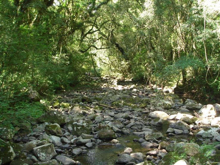 there is a small creek that runs along the path