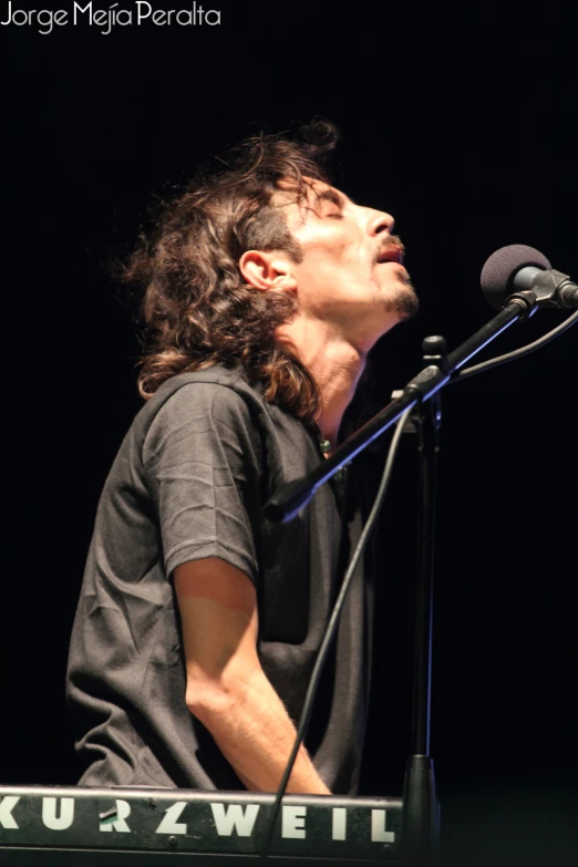a guy in front of a microphone, is playing