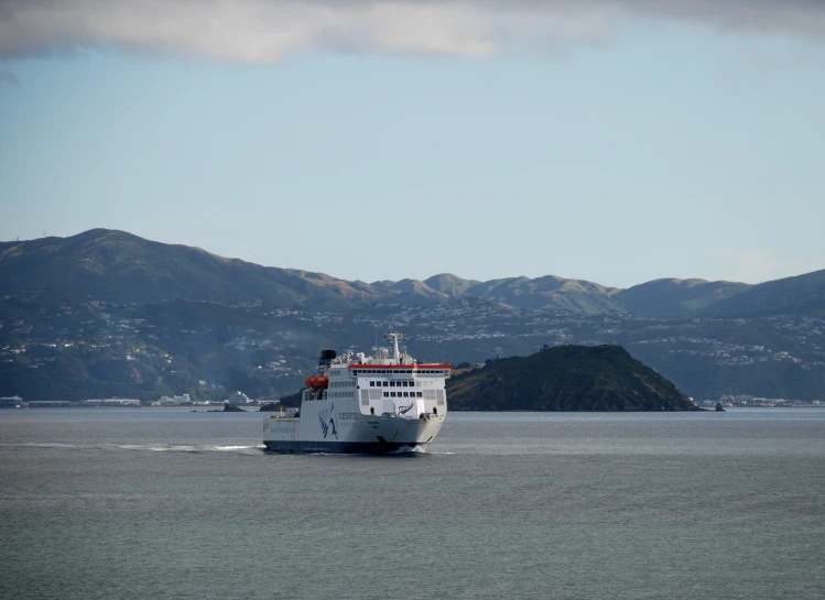 there is a large white ship out in the ocean