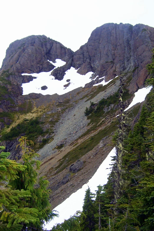 some snow and rocks on the mountains with trees