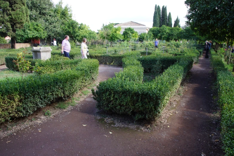 some people looking at some hedges in a park