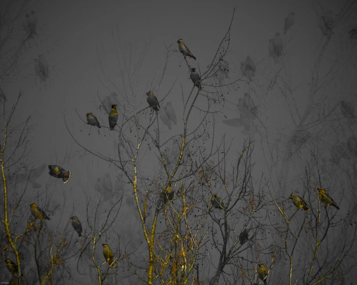 a group of small birds perched on top of a tree