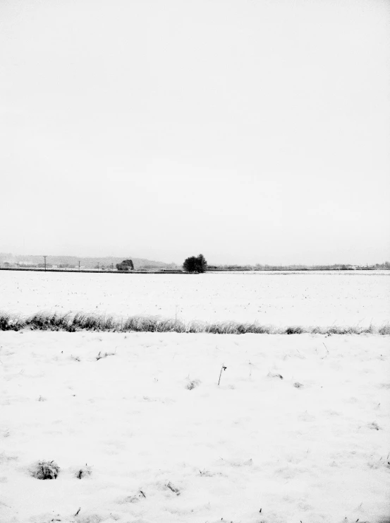 an image of a snow covered landscape with trees