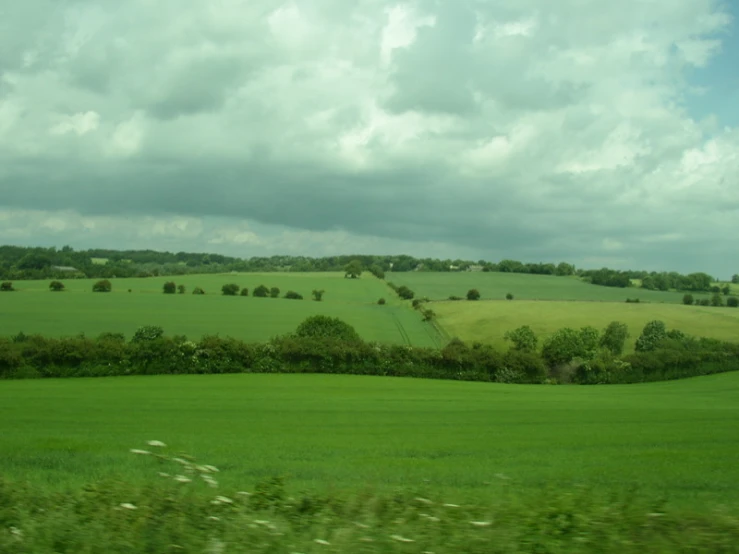 many green fields are visible from a moving train