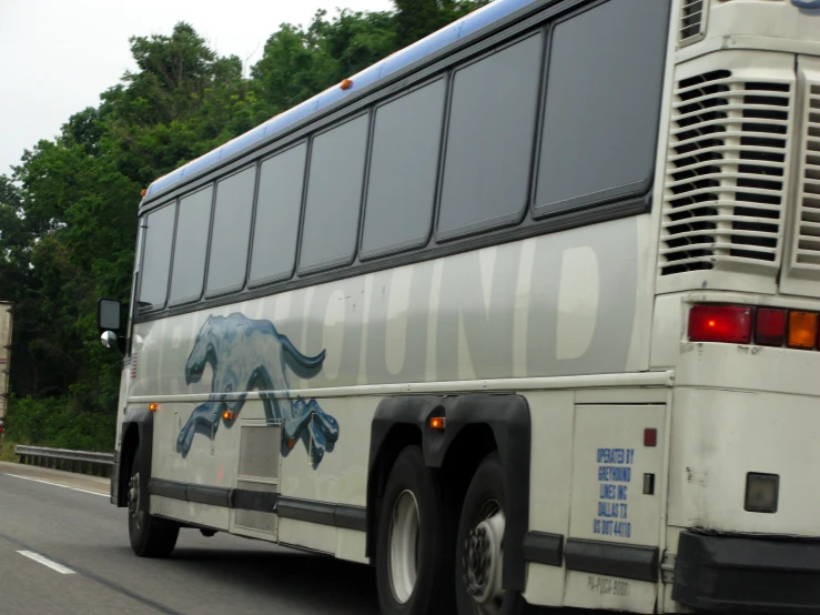 a white double decker bus with horse decals on it