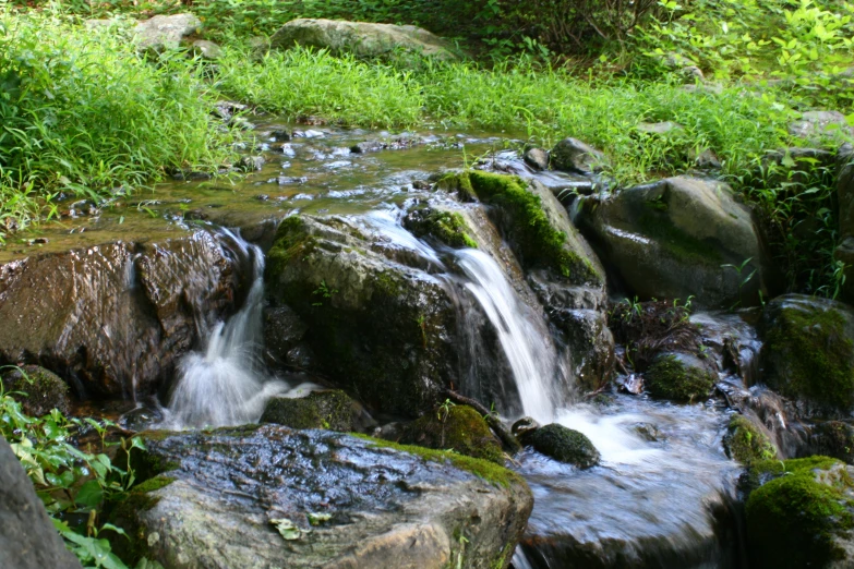 a small stream of water surrounded by green vegetation