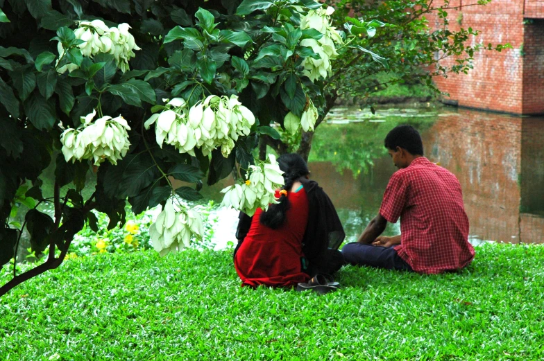 two people sitting on the grass near the water