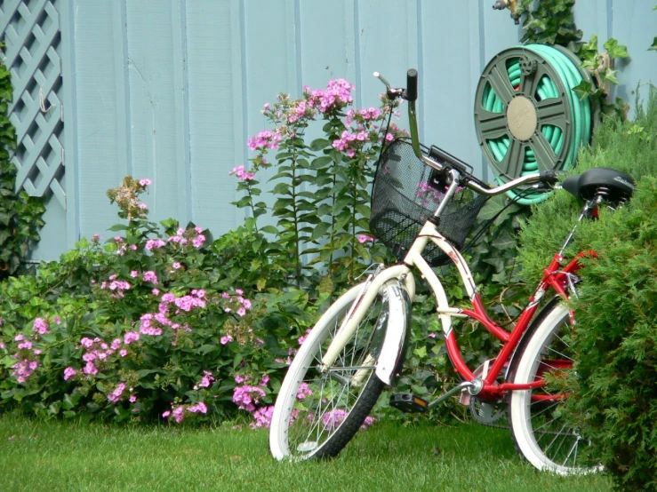 a bike is parked in a garden area