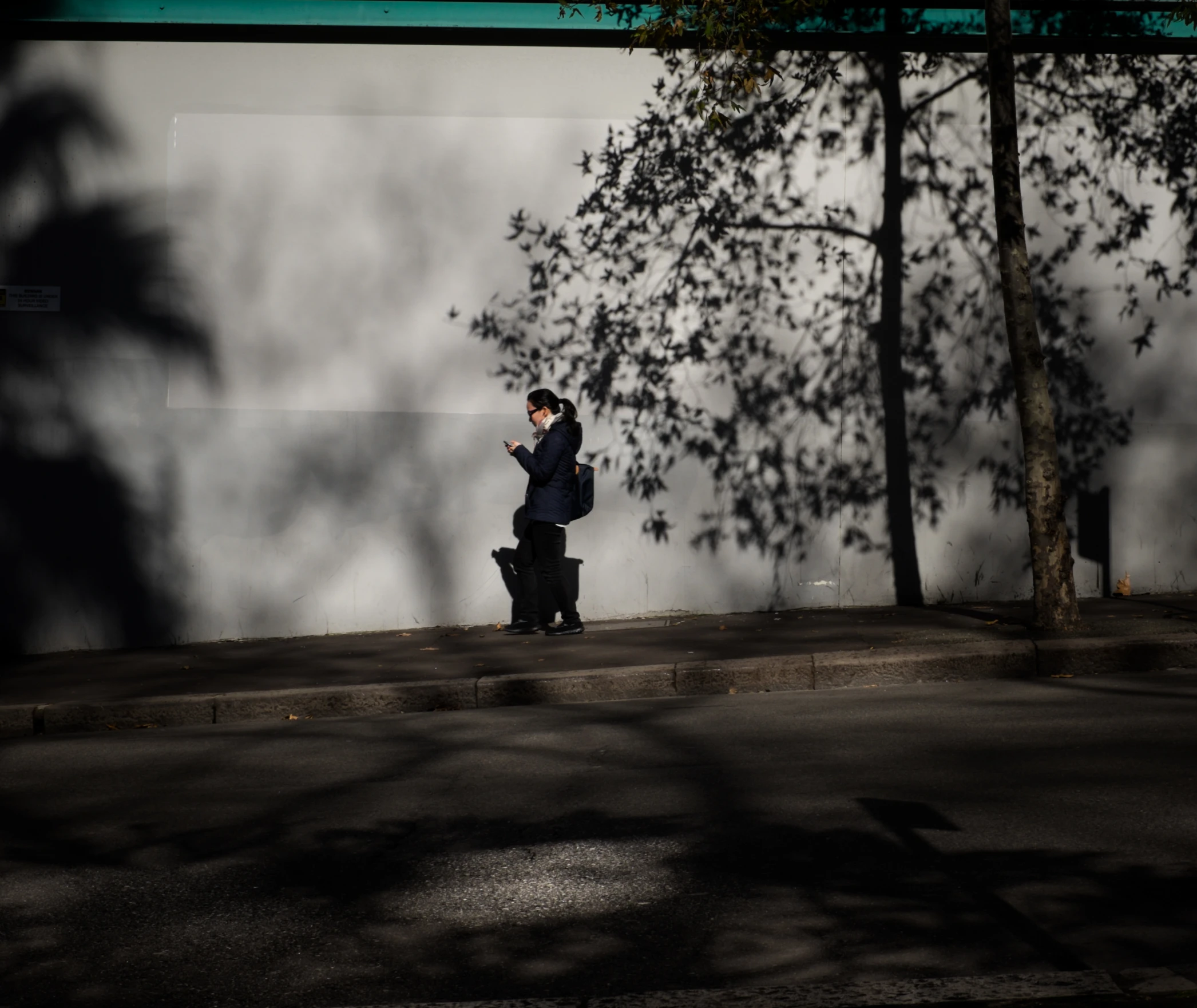 a person sitting next to a tree on the sidewalk